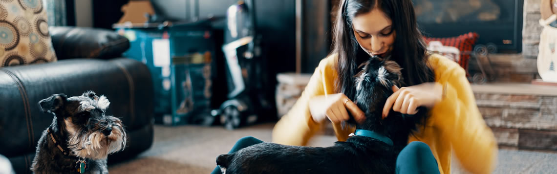 A picture of a woman and her two dogs in their home.