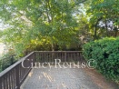 1132 Fuller Street: 1132FullerA2026-15