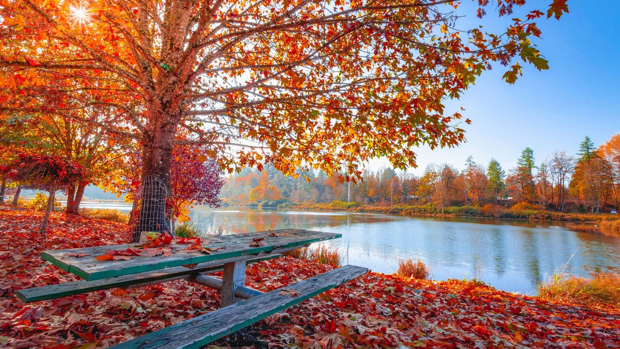 Fall Activities in Cincinnati From Date Night to Family Time
